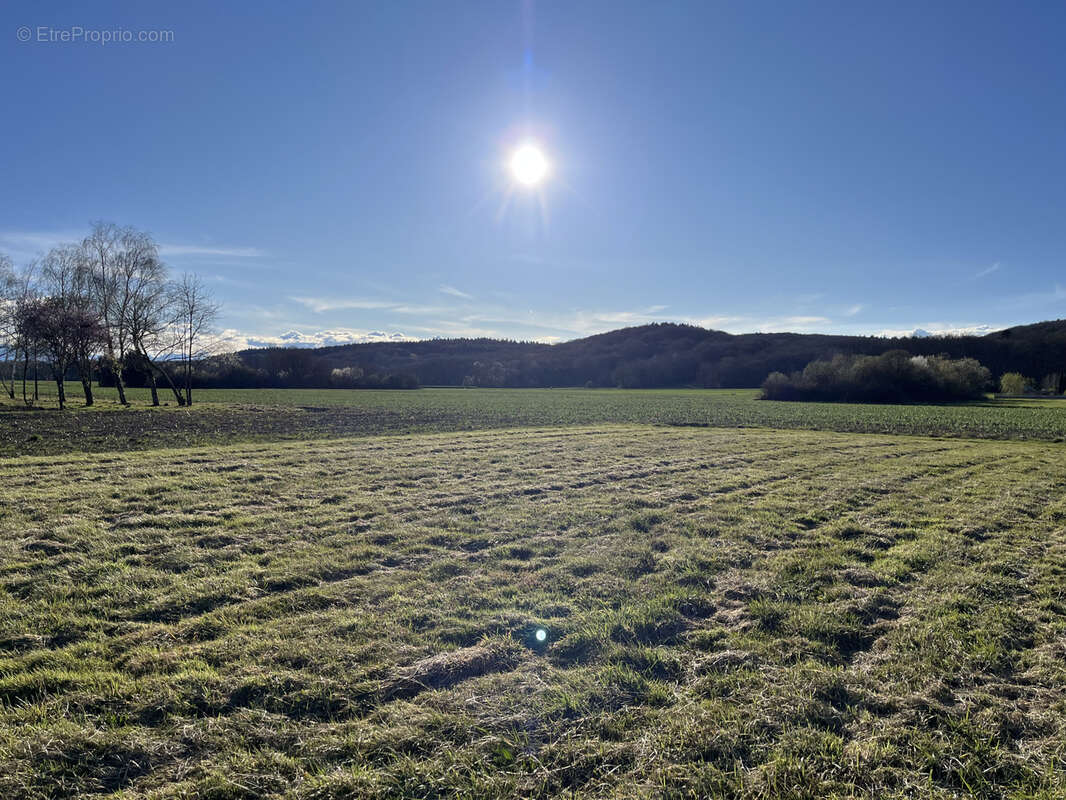 Terrain à OURSBELILLE