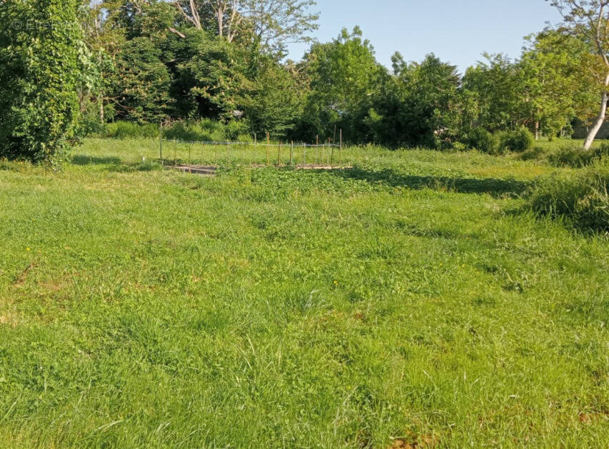 Terrain à AZAY-SUR-CHER