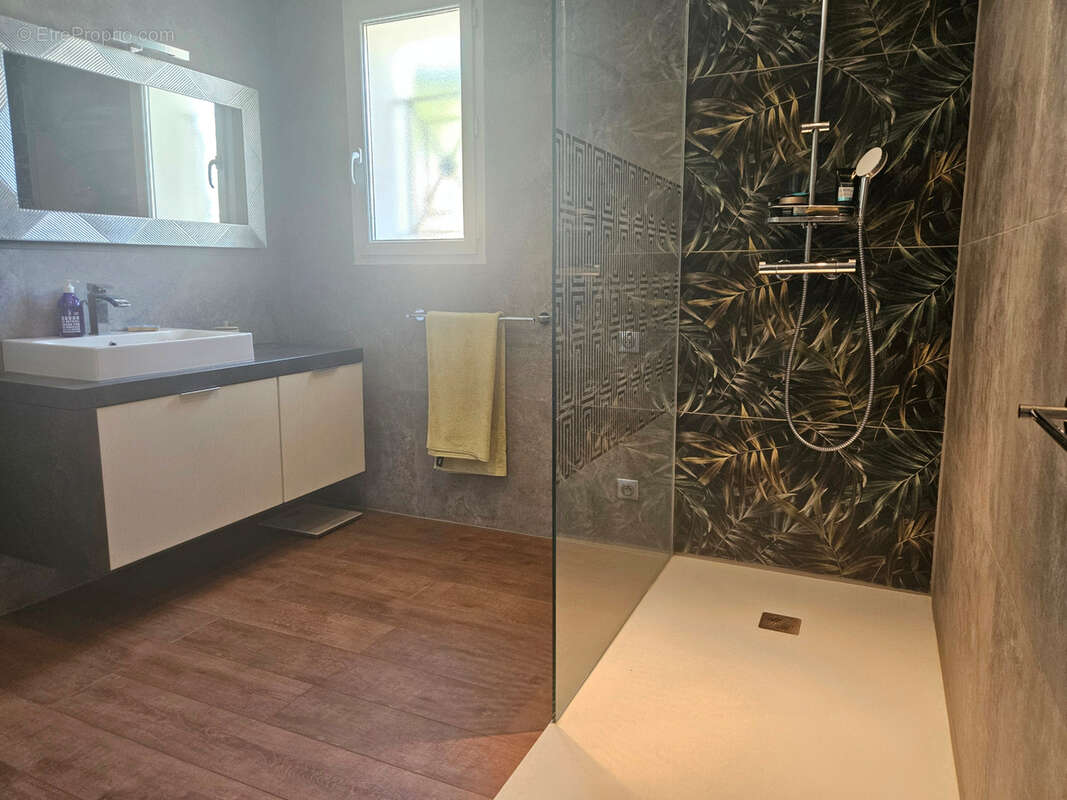 Maison à SATOLAS-ET-BONCE