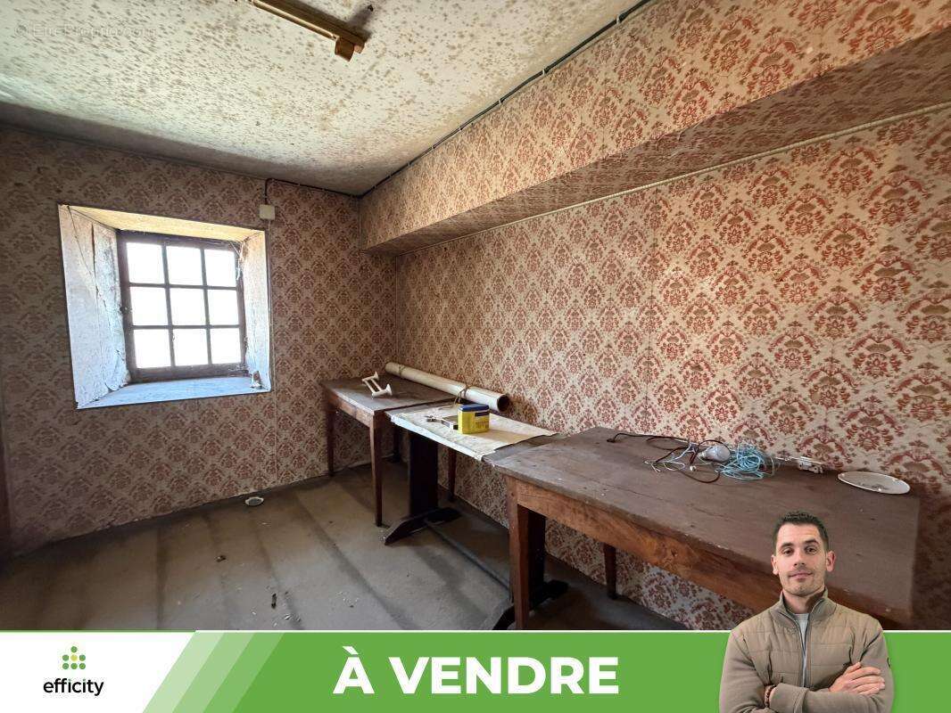 Appartement 15 pièces 310 m² à vendre à Usson-Du-Poitou (86350) - photo 13