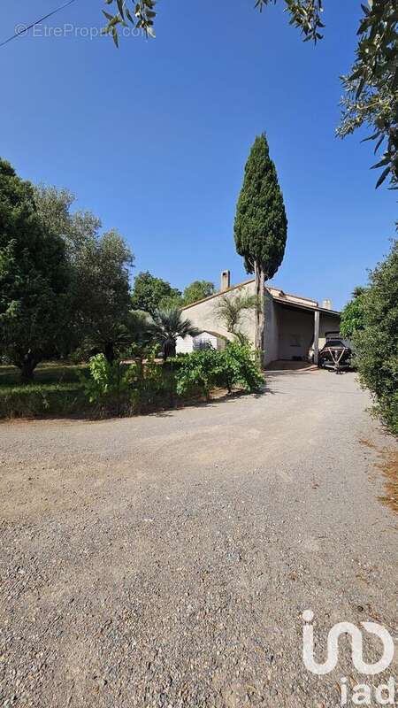 Photo 9 - Maison à MILLAS