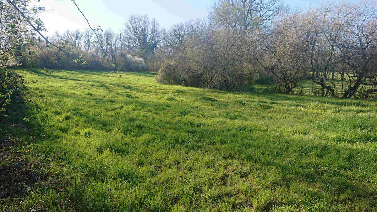 Terrain à PUYLAGARDE