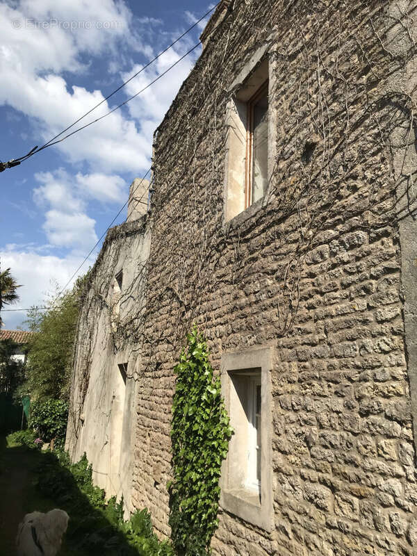 Maison 112 m² à Saint-Clement-Des-Baleines  - photo 4