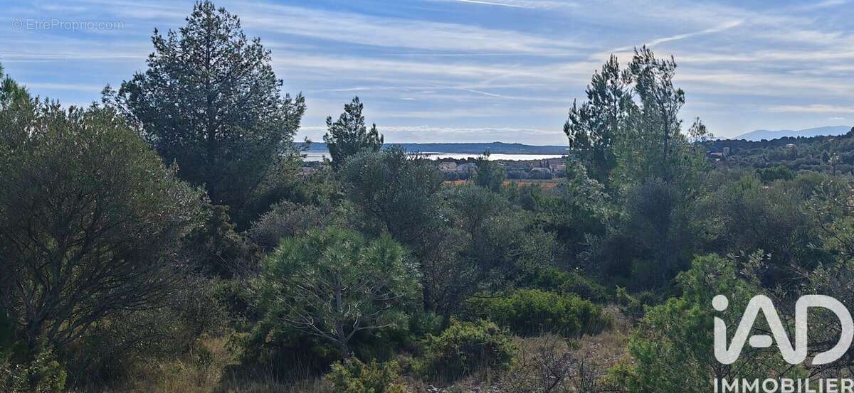 Photo 2 - Terrain à LA PALME