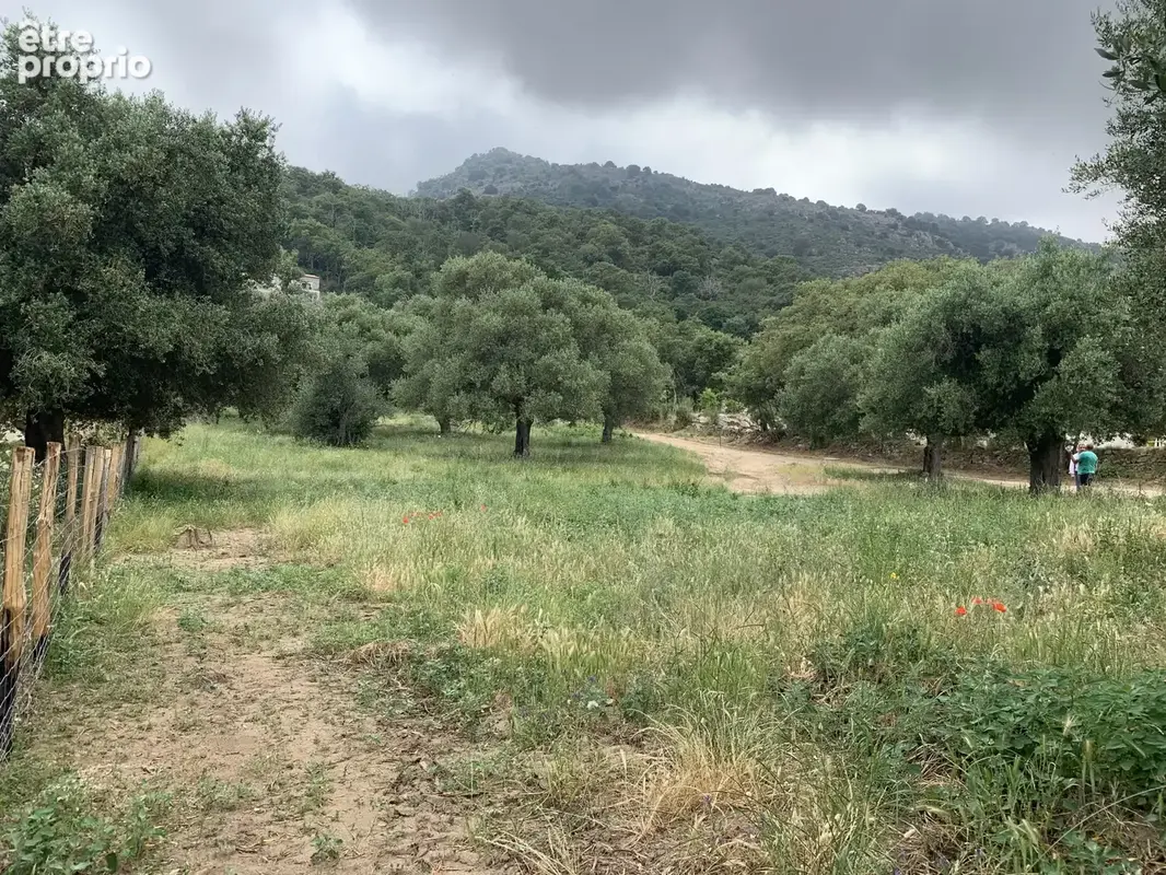 Terrain à batir . - photo 5