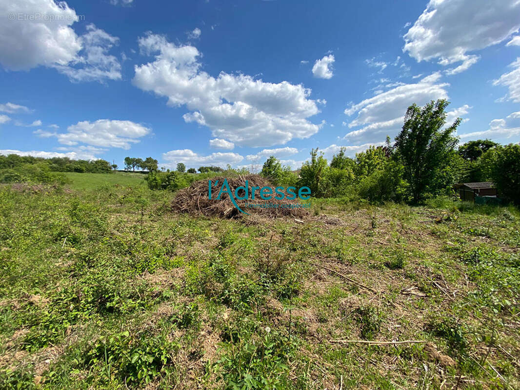 Terrain à MONTALET-LE-BOIS