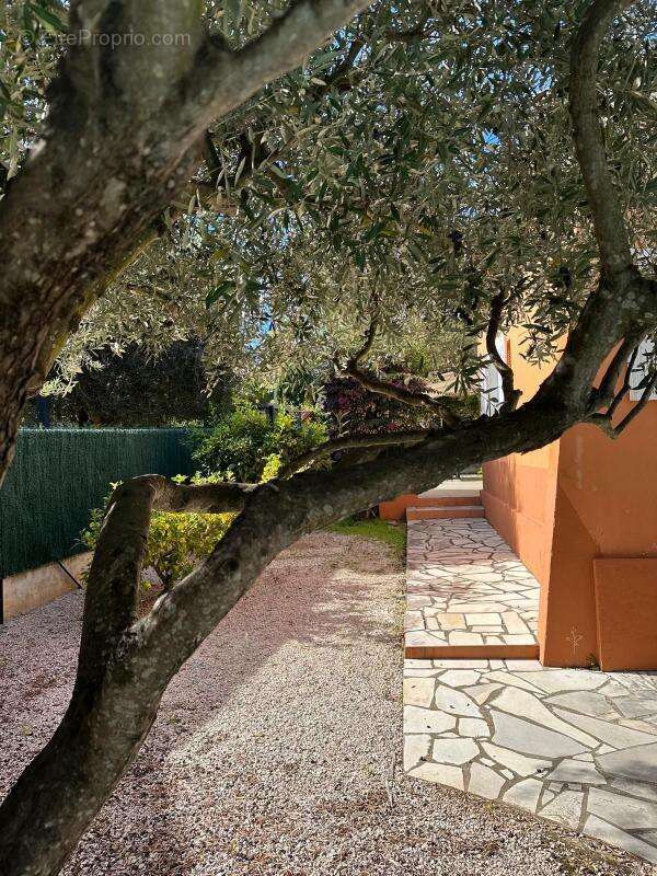 Maison à SIX-FOURS-LES-PLAGES