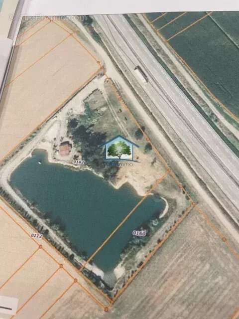 BURNHAUPT-LE-HAUT (68) - Etang sur 12887m² - photo 8