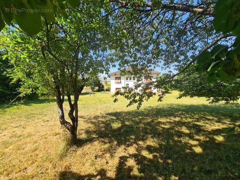 Maison 152 m²,3 pièces, sous sol total, terrain de 2 358 m² - photo 13