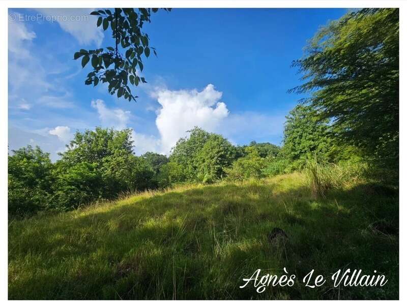 Terrain 2 983 m2 à Bouillante - photo 10