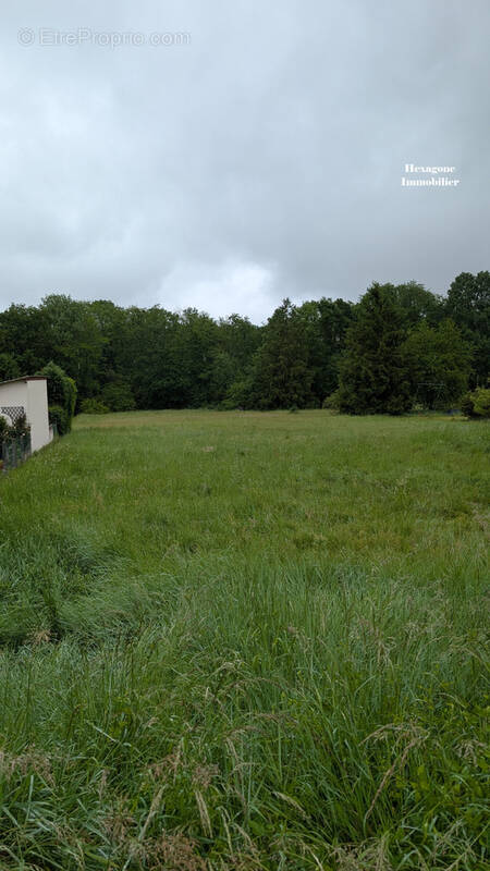 Terrain à NEUVY-SUR-LOIRE