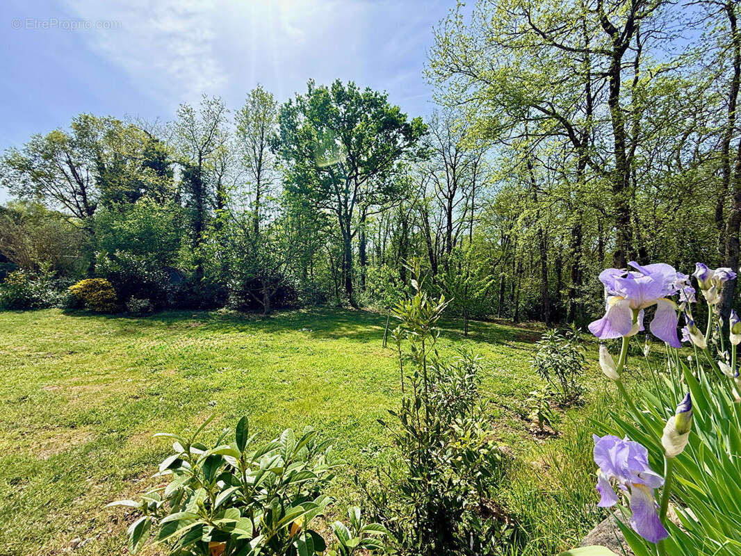 Maison à TROIS-PALIS