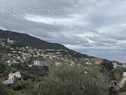 Maison à SAN-MARTINO-DI-LOTA