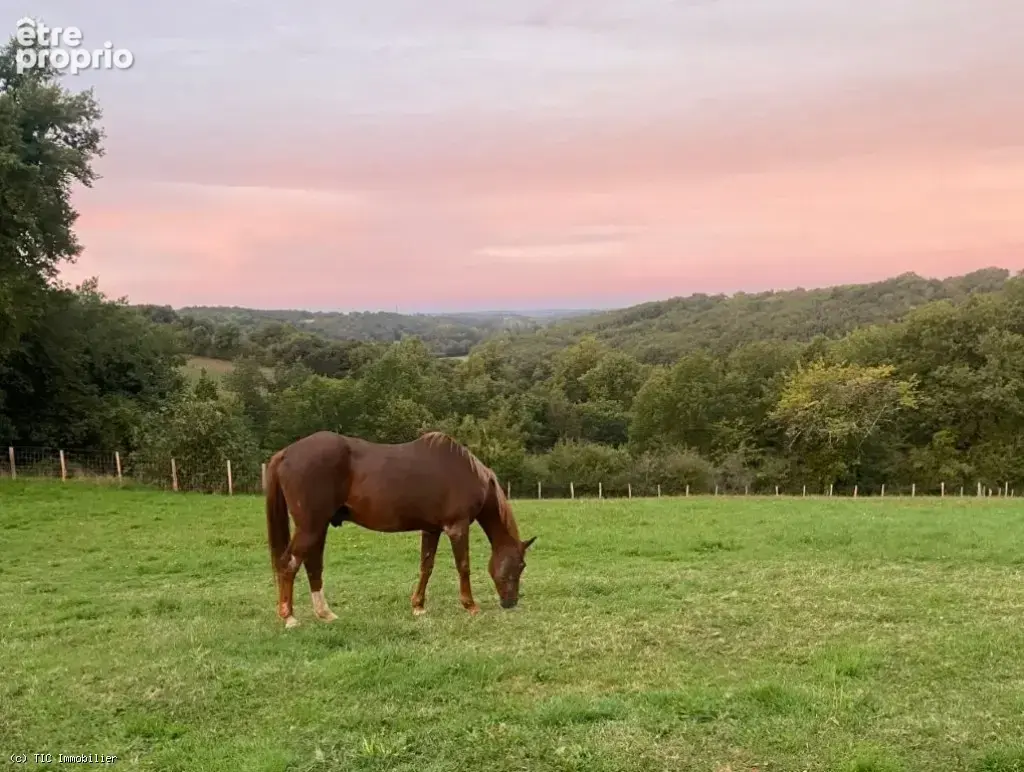 Maison Exceptionnelle avec Petite Equestre, Prairie Clôturée, Grand Terrain et Vues Magnifiques ! - photo 4