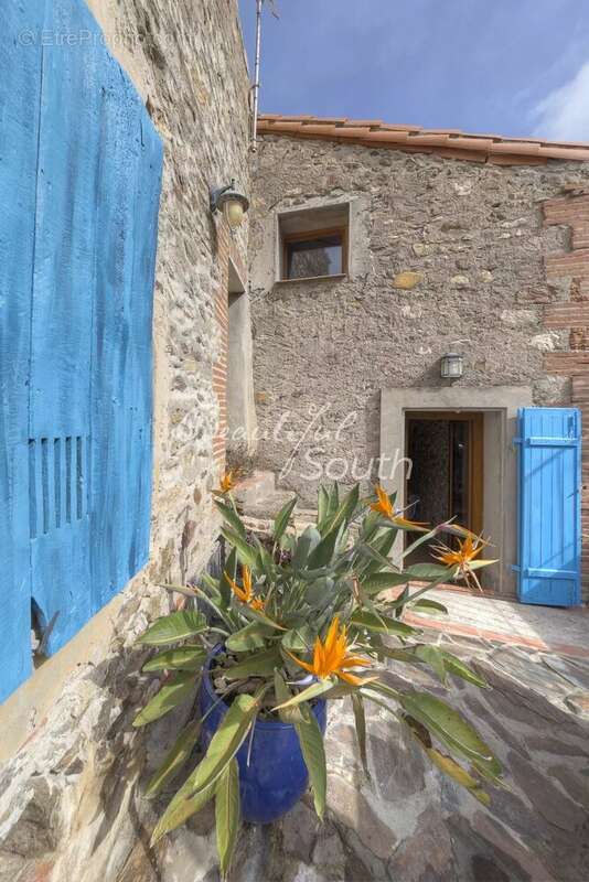 Maison à MONTESQUIEU-DES-ALBERES