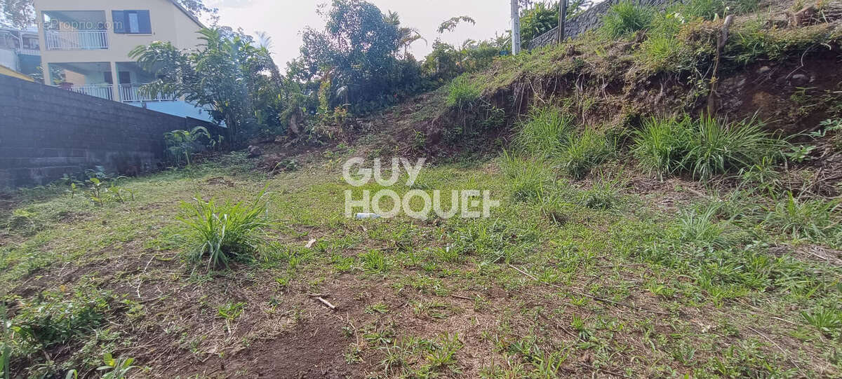 Terrain à SAINT-PIERRE