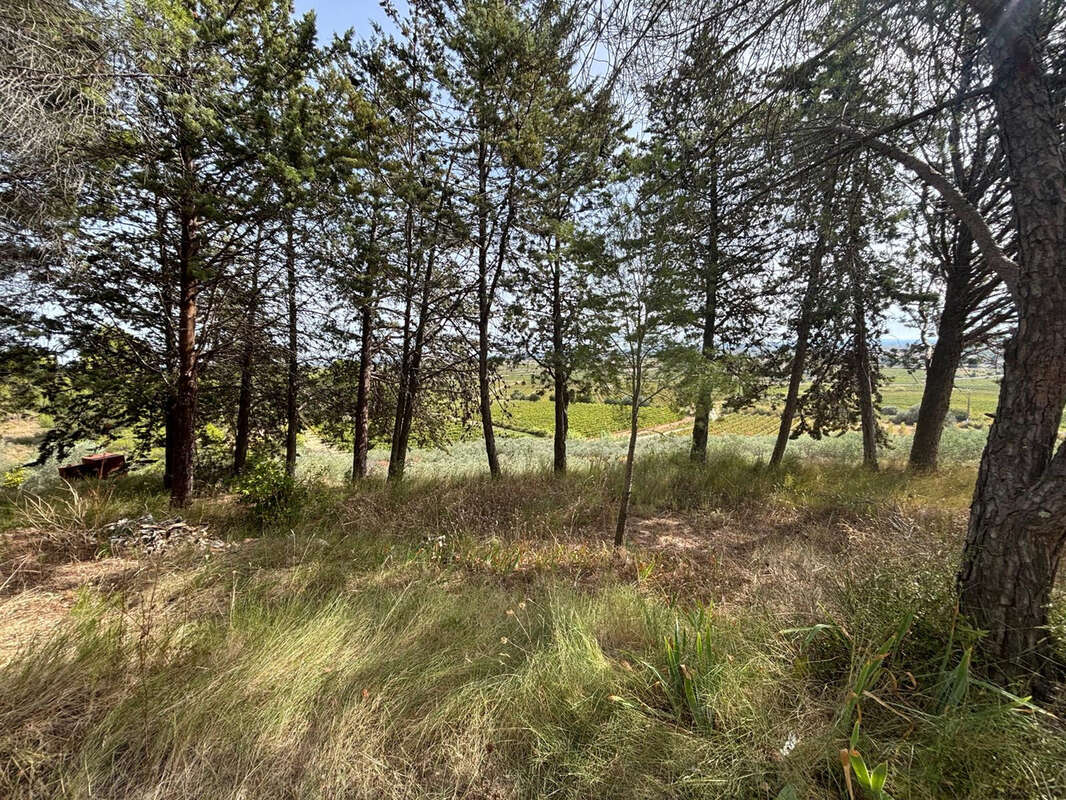 Terrain à PUISSERGUIER