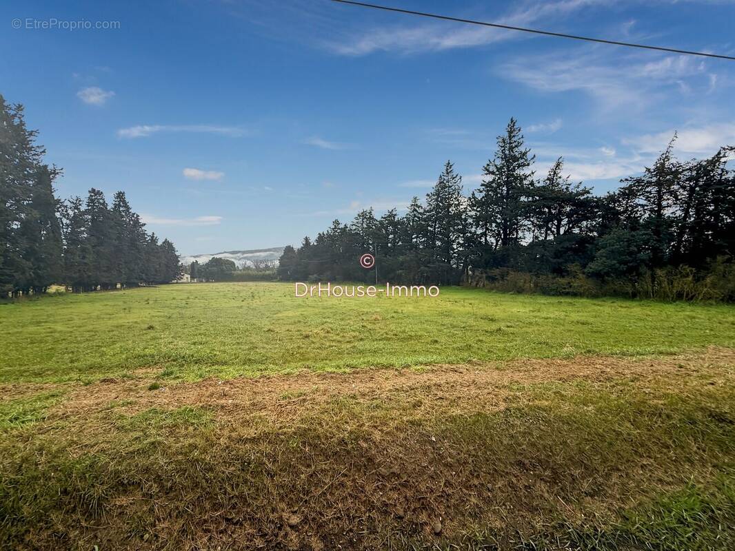 Terrain à CHEVAL-BLANC