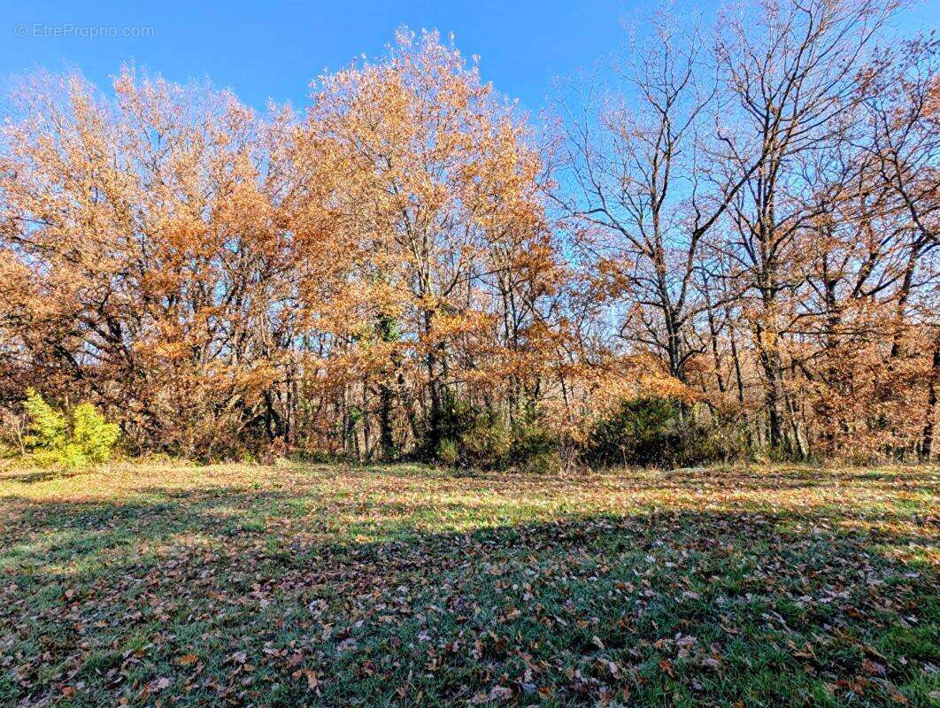 Maison à LE FOUSSERET