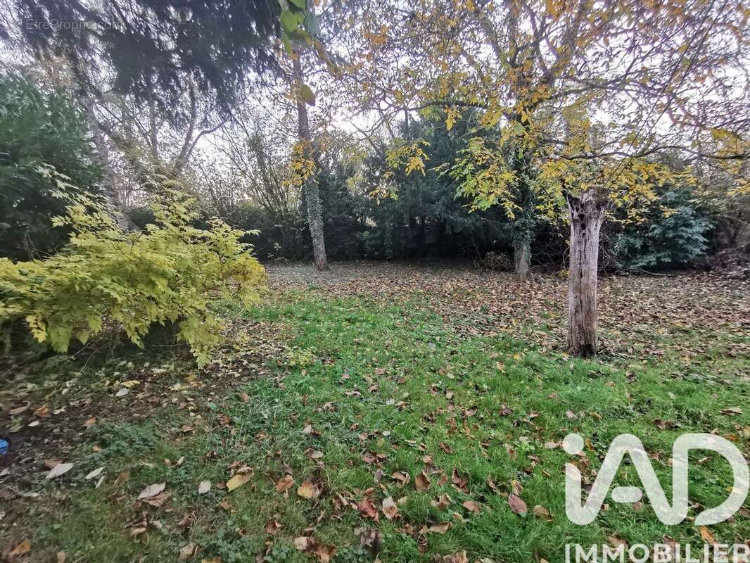 Photo 2 - Maison à SOIGNOLLES-EN-BRIE