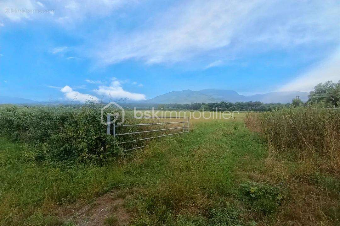 Terrain à SAUGUIS-SAINT-ETIENNE
