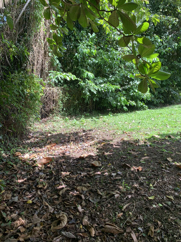 Terrain à LES TROIS-ILETS