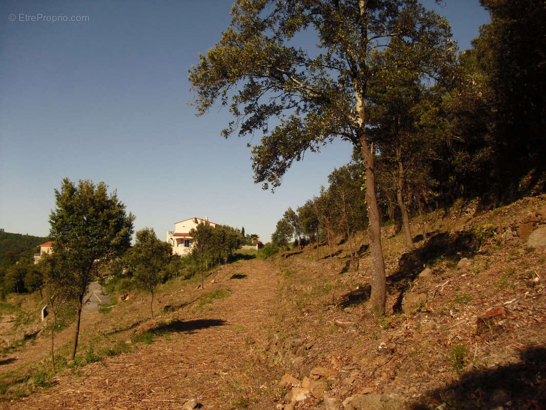 Terrain à AMELIE-LES-BAINS-PALALDA