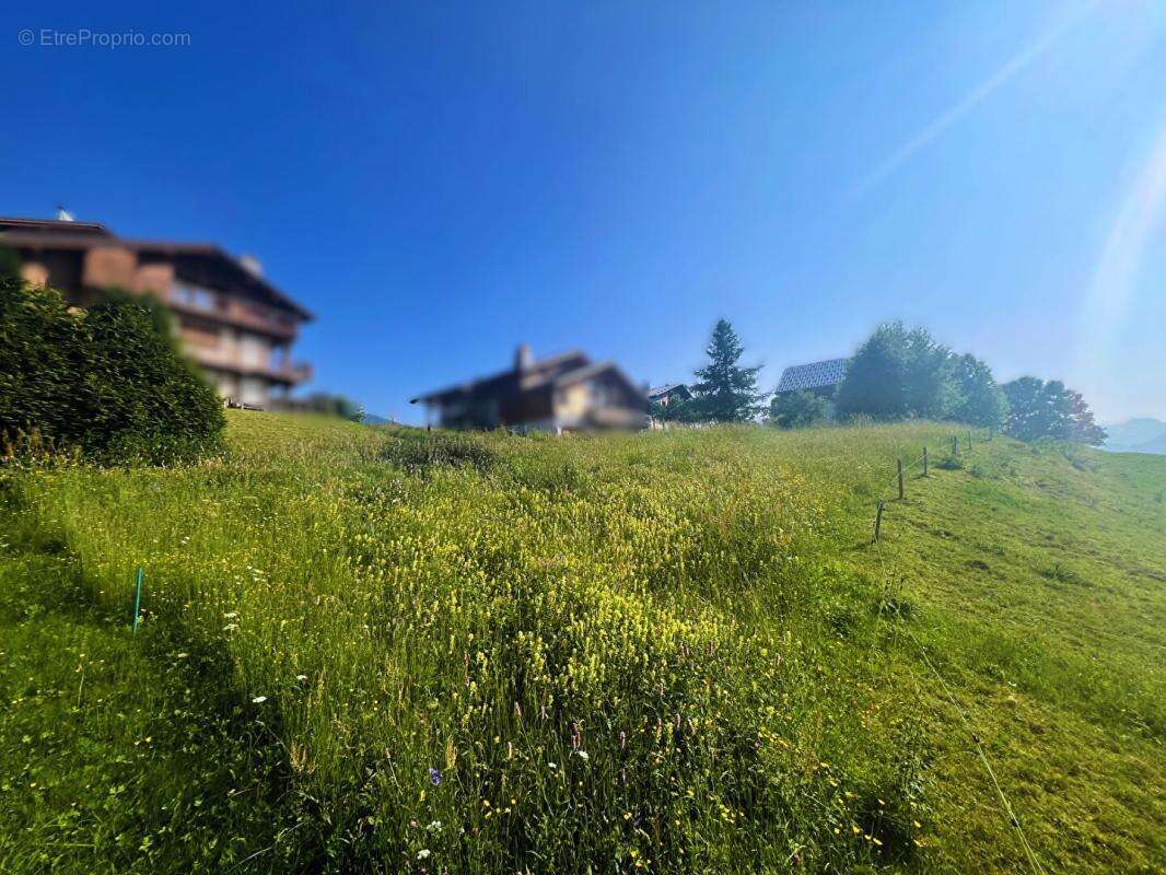 Terrain à CREST-VOLAND