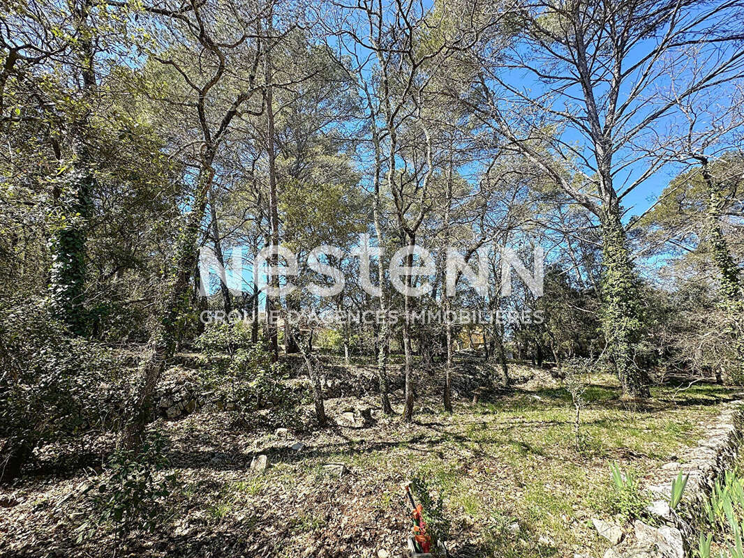 Terrain à LORGUES