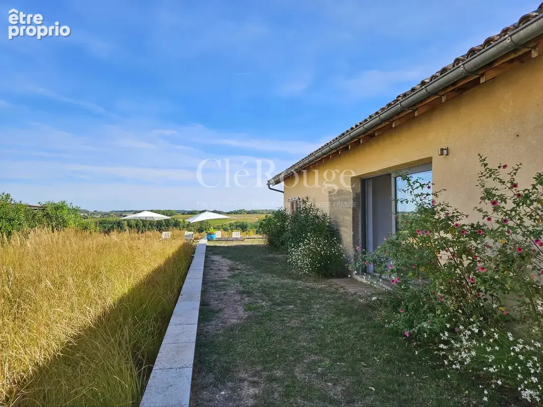 Proche de Pellegrue – Exceptionnel havre de créativité avec gîte et vues panoramiques - photo 23