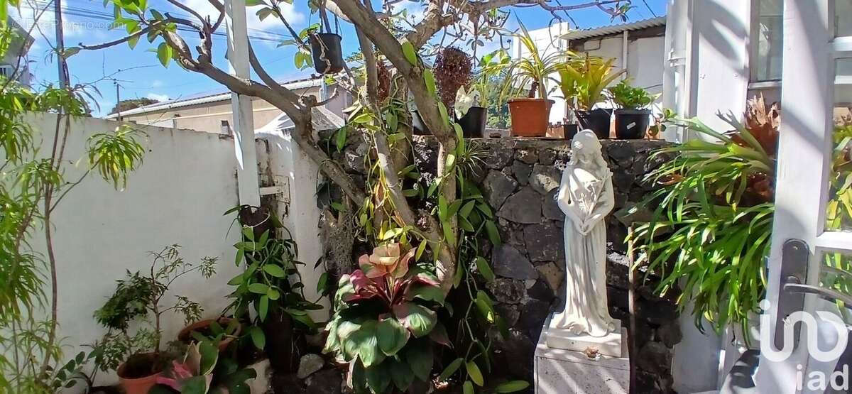 Photo 4 - Maison à SAINT-JOSEPH