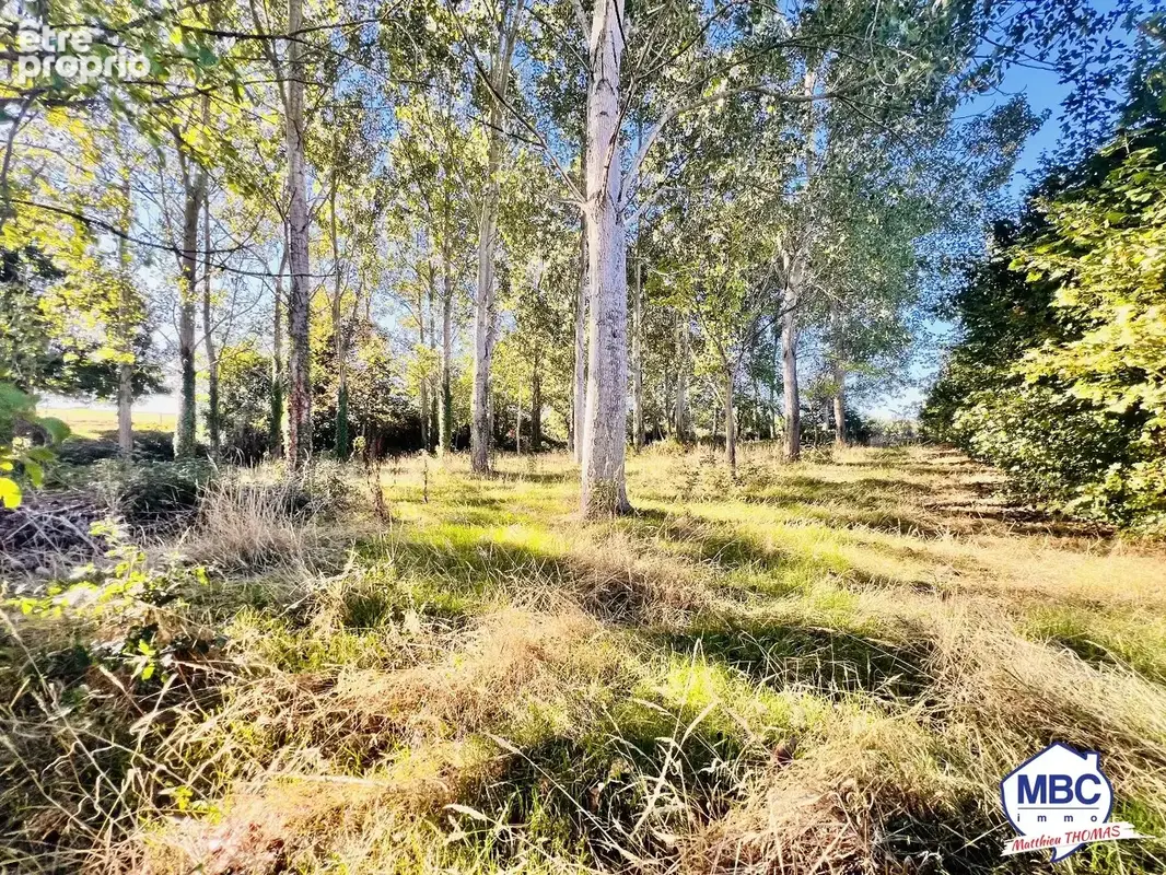 Longère de 192 m² avec grange, étang et forêt sur 2 hectares. - photo 11