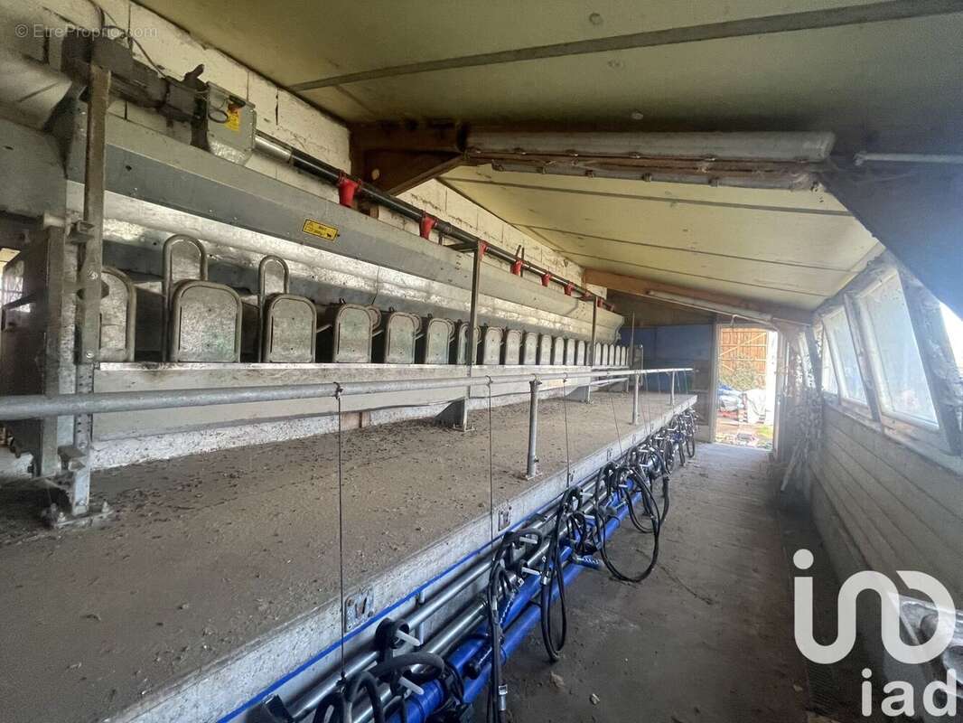 Photo 2 - Terrain à SAINT-LAURENT-D&#039;OLT