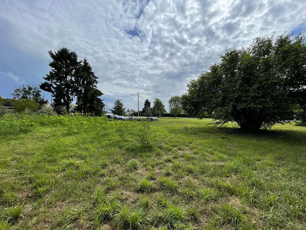 Terrain à MILLANCAY