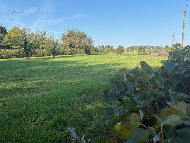 Terrain à SAINT-REMY