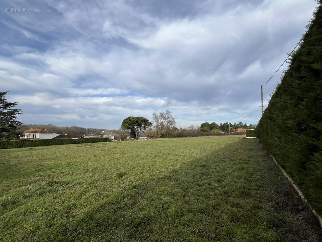 Terrain à NERAC