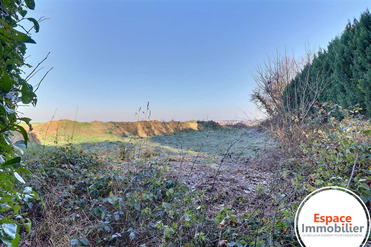 Maison à NOYELLES-SUR-SELLE