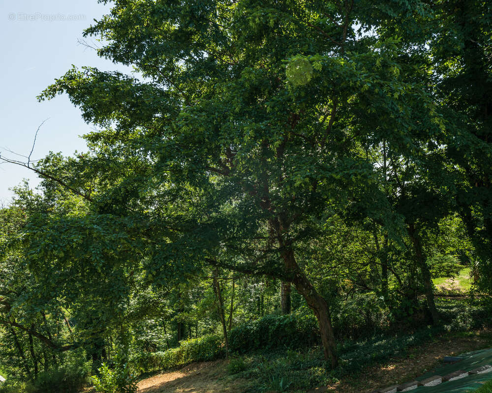 Maison à TASSIN-LA-DEMI-LUNE