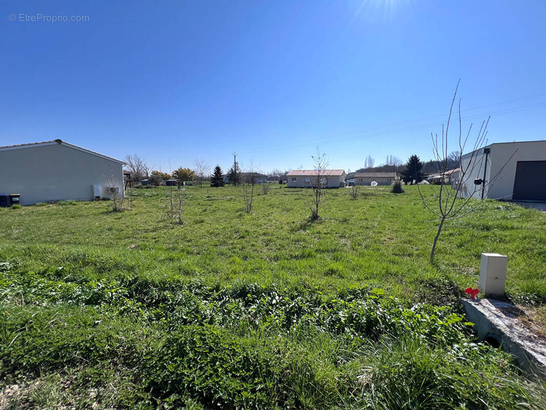 Terrain à ALBEFEUILLE-LAGARDE