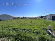 Terrain à ALBEFEUILLE-LAGARDE