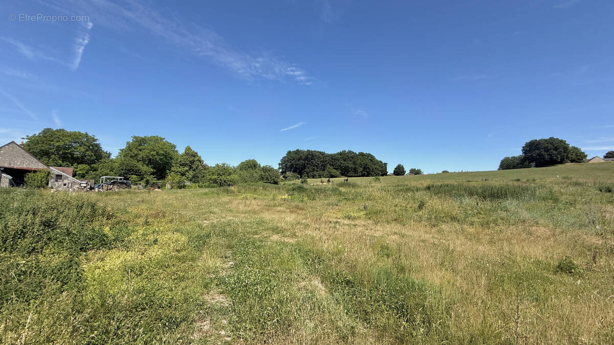 Terrain à REIGNAC-SUR-INDRE