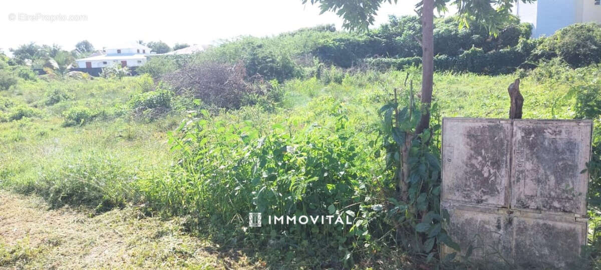 Terrain à ANSE-BERTRAND