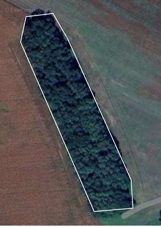 Terrain à LUMIGNY-NESLES-ORMEAUX