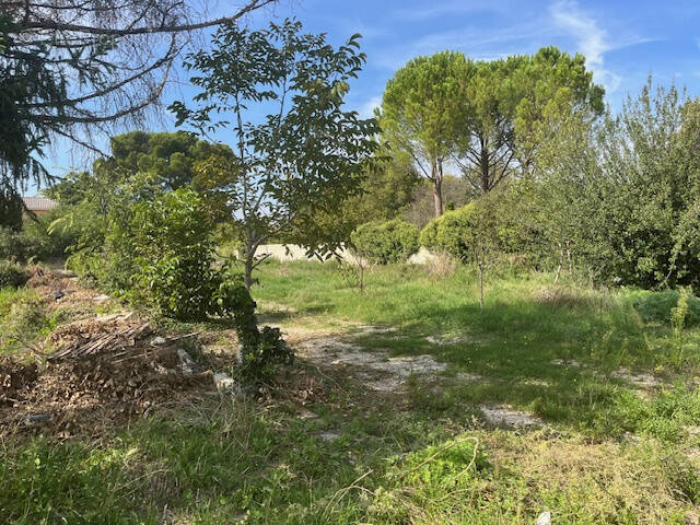 Terrain à CARPENTRAS
