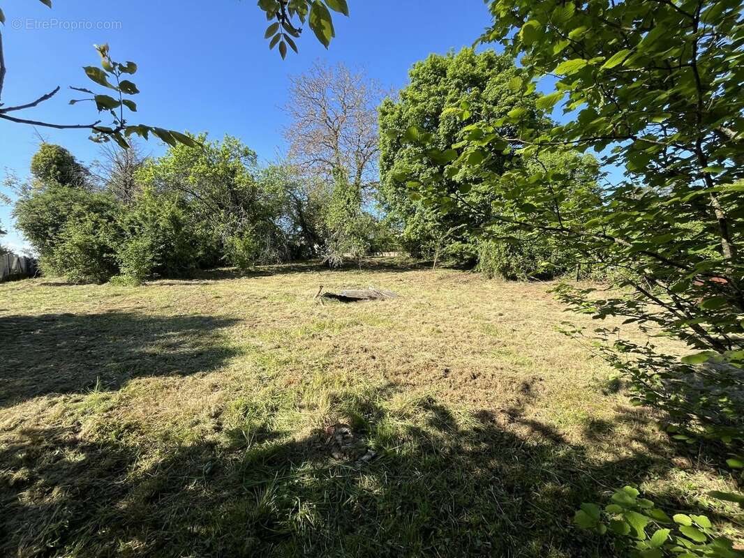 Terrain à SAINT-BENIN-D&#039;AZY