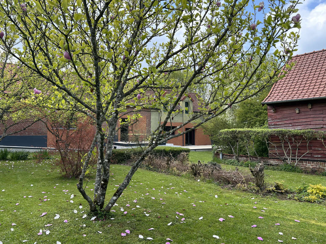 Maison à POMMERA
