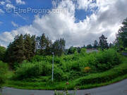 Terrain à COURPIERE