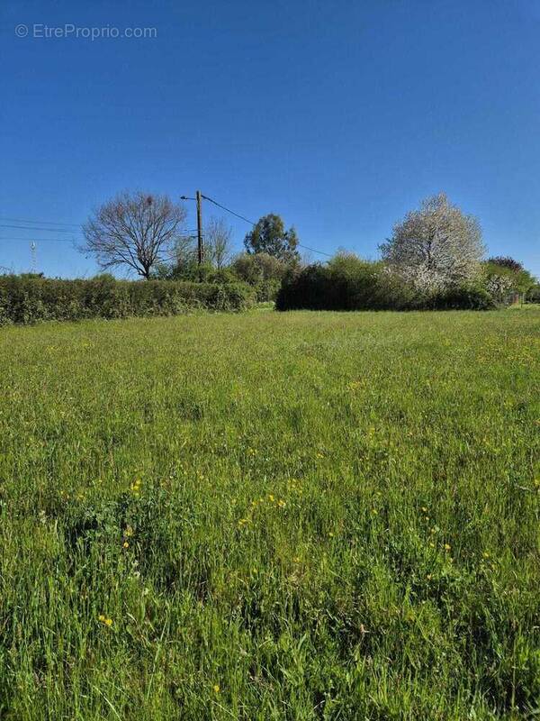 Terrain à SAINT-ADJUTORY