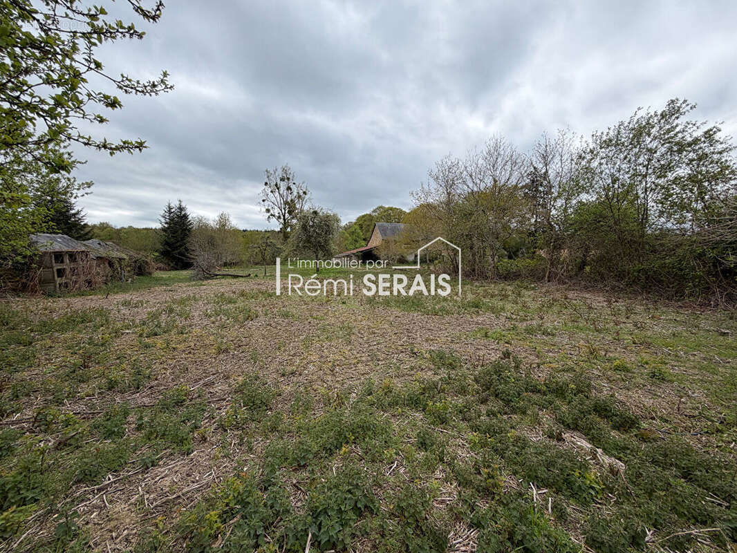 Maison à LA CHAPELLE-AU-MOINE