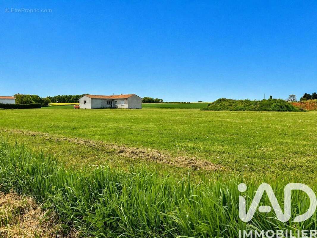 Photo 3 - Terrain à LES PINS